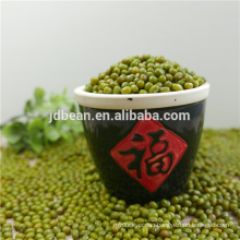 Organic Green mung beans for sale